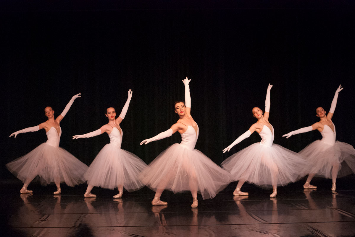 DSC_0084 DSC_0084