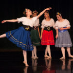 Pesant Skirts