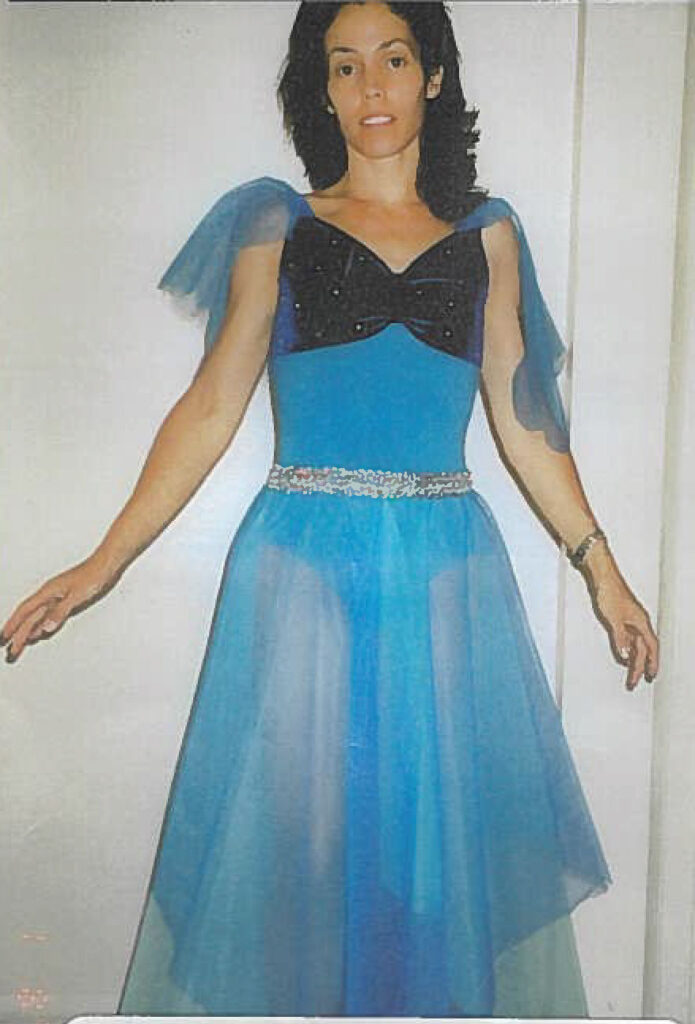 Fairy Costumes Fairy Costumes