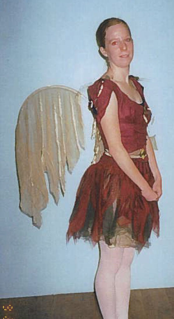 Fairy Costumes Fairy Costumes