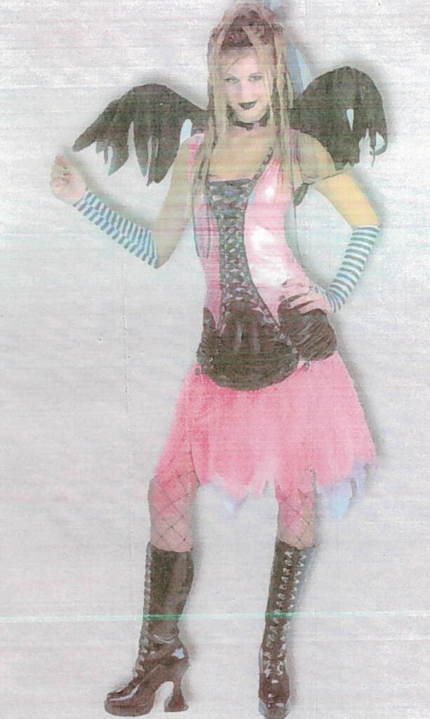 Fairy Costumes Fairy Costumes