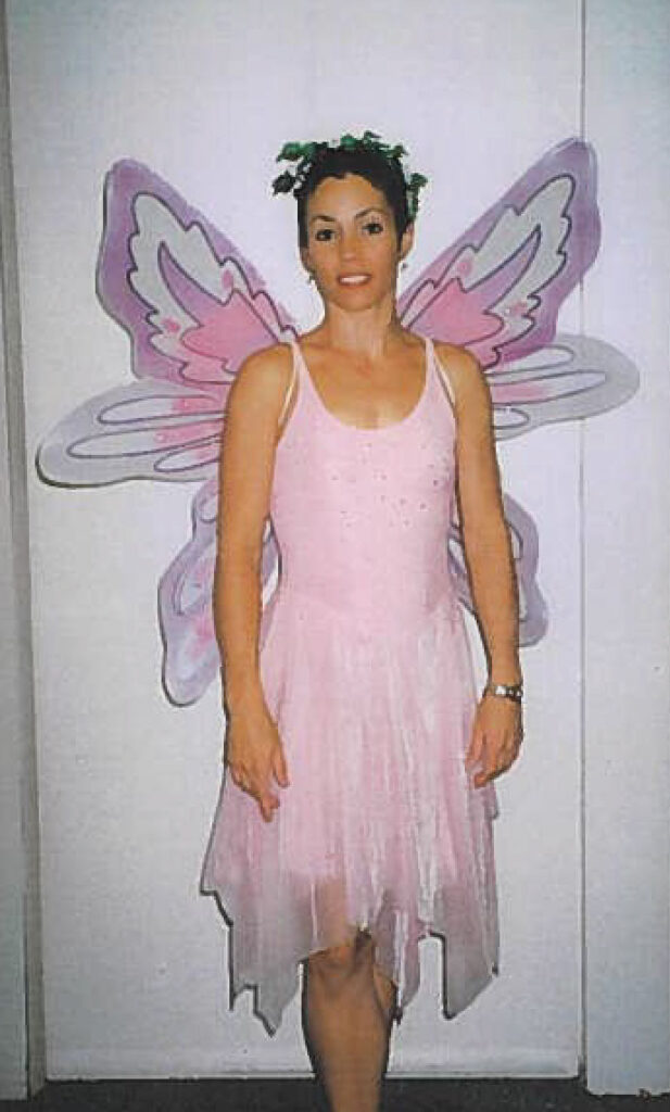 Fairy Costumes Fairy Costumes