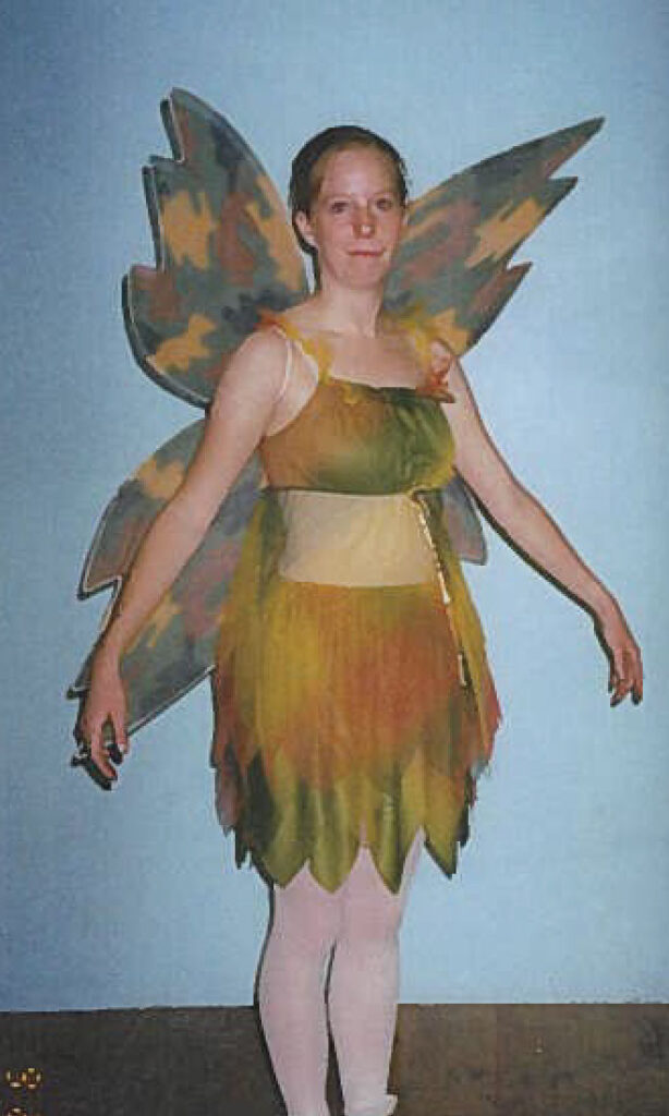 Fairy Costumes Fairy Costumes