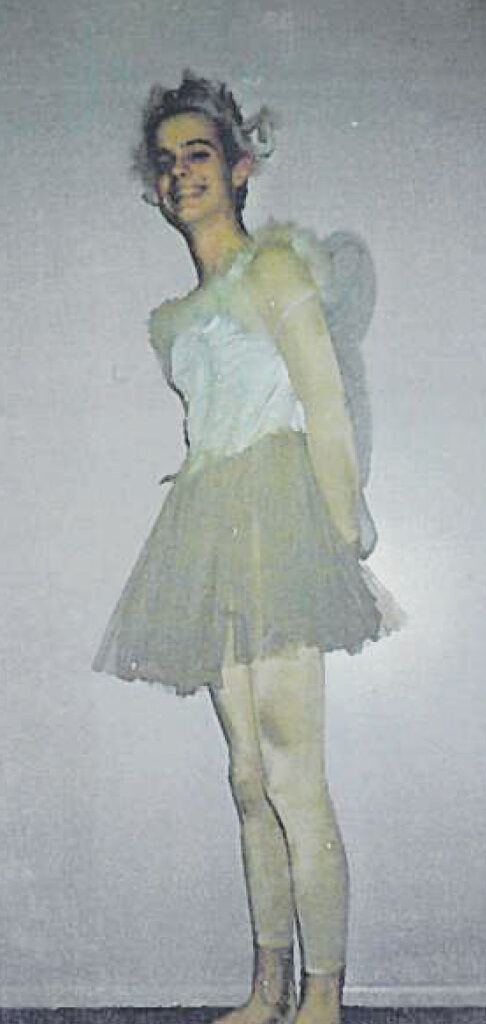 Fairy Costumes Fairy Costumes